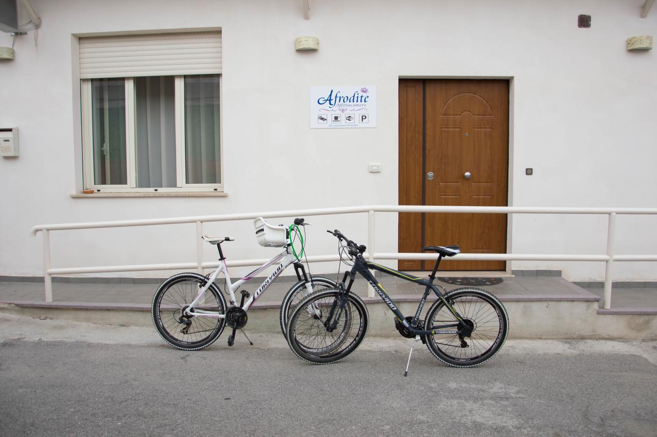 Afrodite Hotel Scalea Ngoại thất bức ảnh